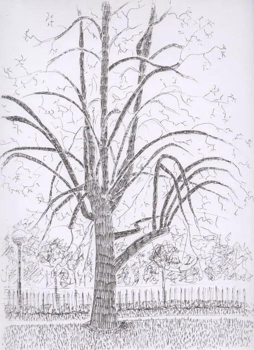 Arbre solitaire dans le parc Sergent Blandan