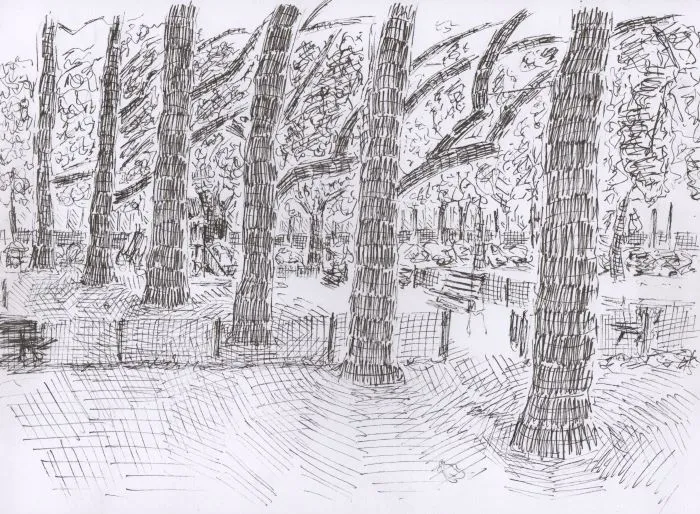 Rangée de platane, place Jean Jaures