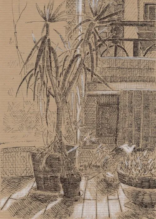 Plantes d'intérieur